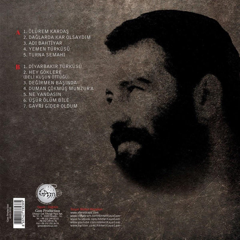 Ahmet Kaya Plak-Resitaller 2(Plak)Schallplatte-LP