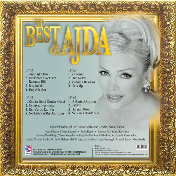 Ajda Pekkan - The Best Of Ajda Plak - Renkli Plak (2 Plak) Schallplatte | LP | Almanya