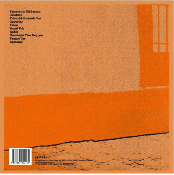 Ari Barokas Plak |Ari Borakas | Lafıma Gücenme ( Türkçe | Rock |Plak )Schallplatte | LP