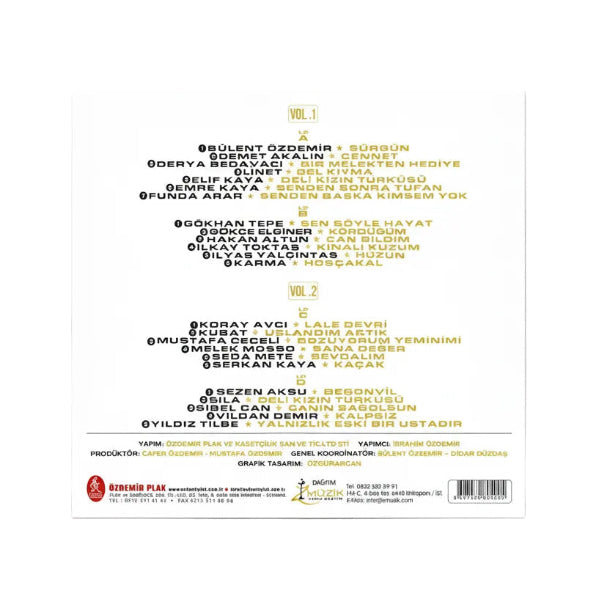 Bülent Özdemir Şarkıları - Çeşitli Sanatçılar | Plak (2 Plak) Türkçe | karışık | pop | Plak