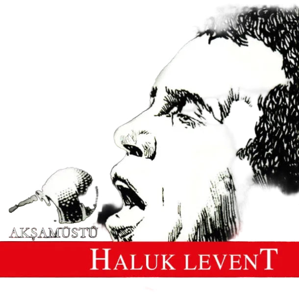 Haluk Levent Plak Çeşitleri | Türkçe Rock Plak | Anadolu Rock Plak | Almanya | türkischer Rockmusik