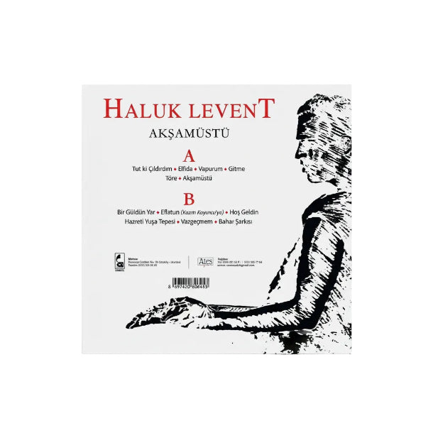 Haluk Levent Akşamüstü Plak | Türkischer Rock | Türkçe Rock Plak| Schallplatte)Haluk Levent Akşamüstü Plak