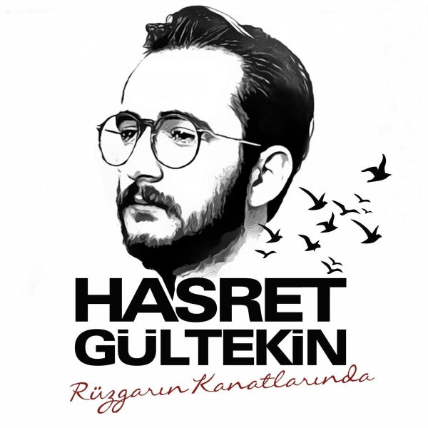 Hasret Gültekin - Rüzgarın Kanatlarında Plak | Türk Halk | Plak | Schallplatte | LP