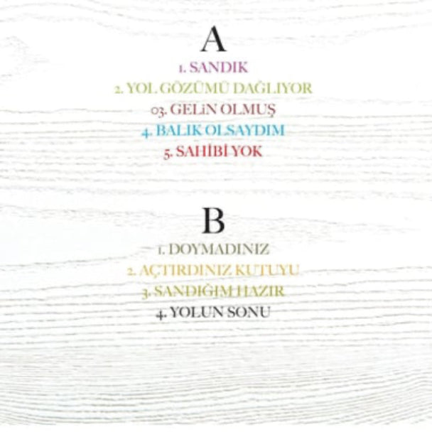 Hayko Cepkin Plak - Sandık|Türkçe | Rock (Plak) Kaydı| LP