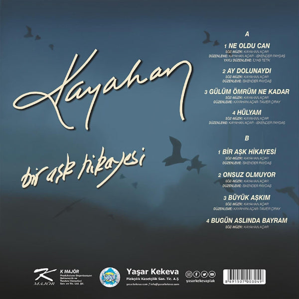 Kayahan - Bir Aşk Hikayesi Plak | Türkische Pop (Schallplatte| Plak | | LP) Türkçe plak