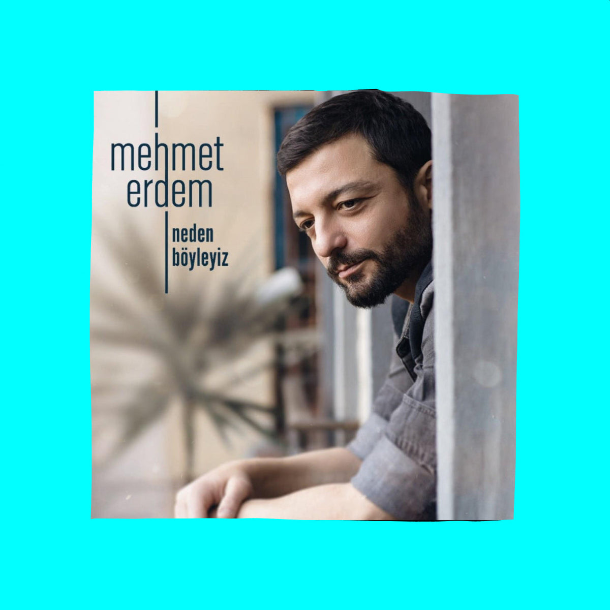 Mehmet Erdem Plak- Neden Böyleyiz Plak(Transparan Buz Renkli Plak)Türkçe | POP | Plak