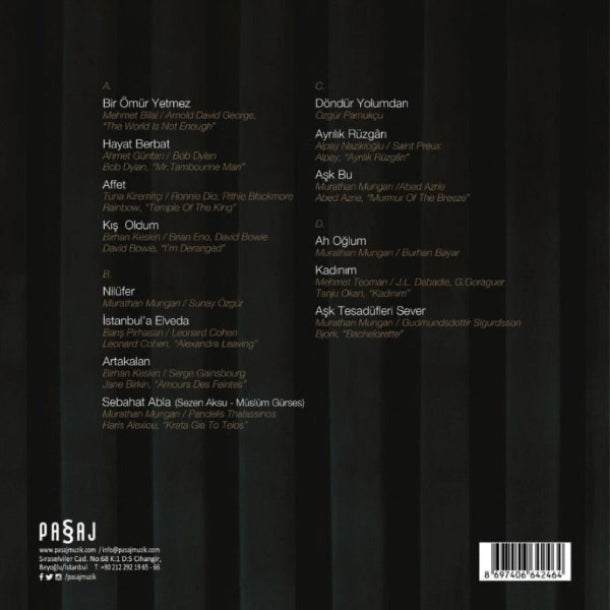 Müslüm Gürses - Aşk Tesadüfleri Sever Plak (2 Plak) Schallplatte | LP