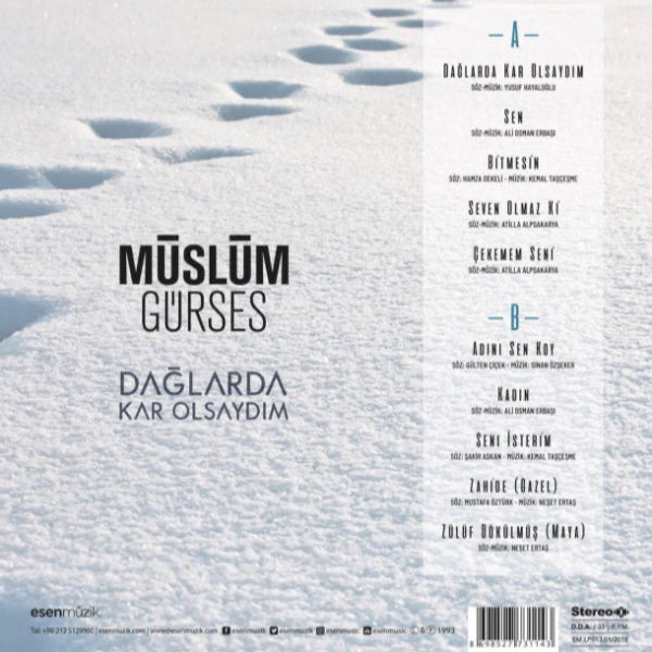 Müslüm Gürses - Dağlarda Kar Olsaydım (Plak) Arabesk | Plak | Schallplatte | LP