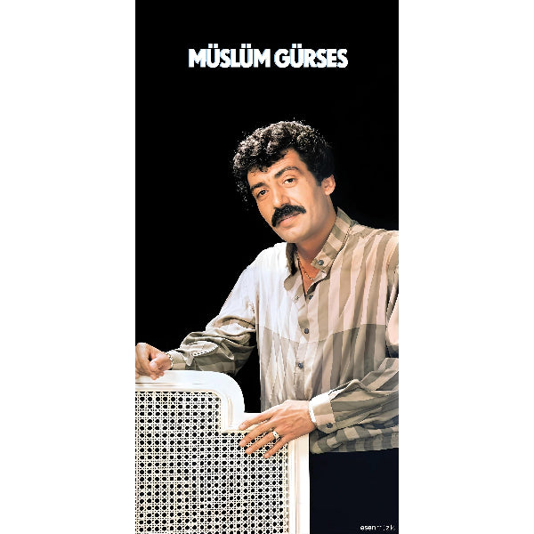 Müslüm Gürses - Sevda Yolu (Plak) Arabesk |Schallplatte |LP