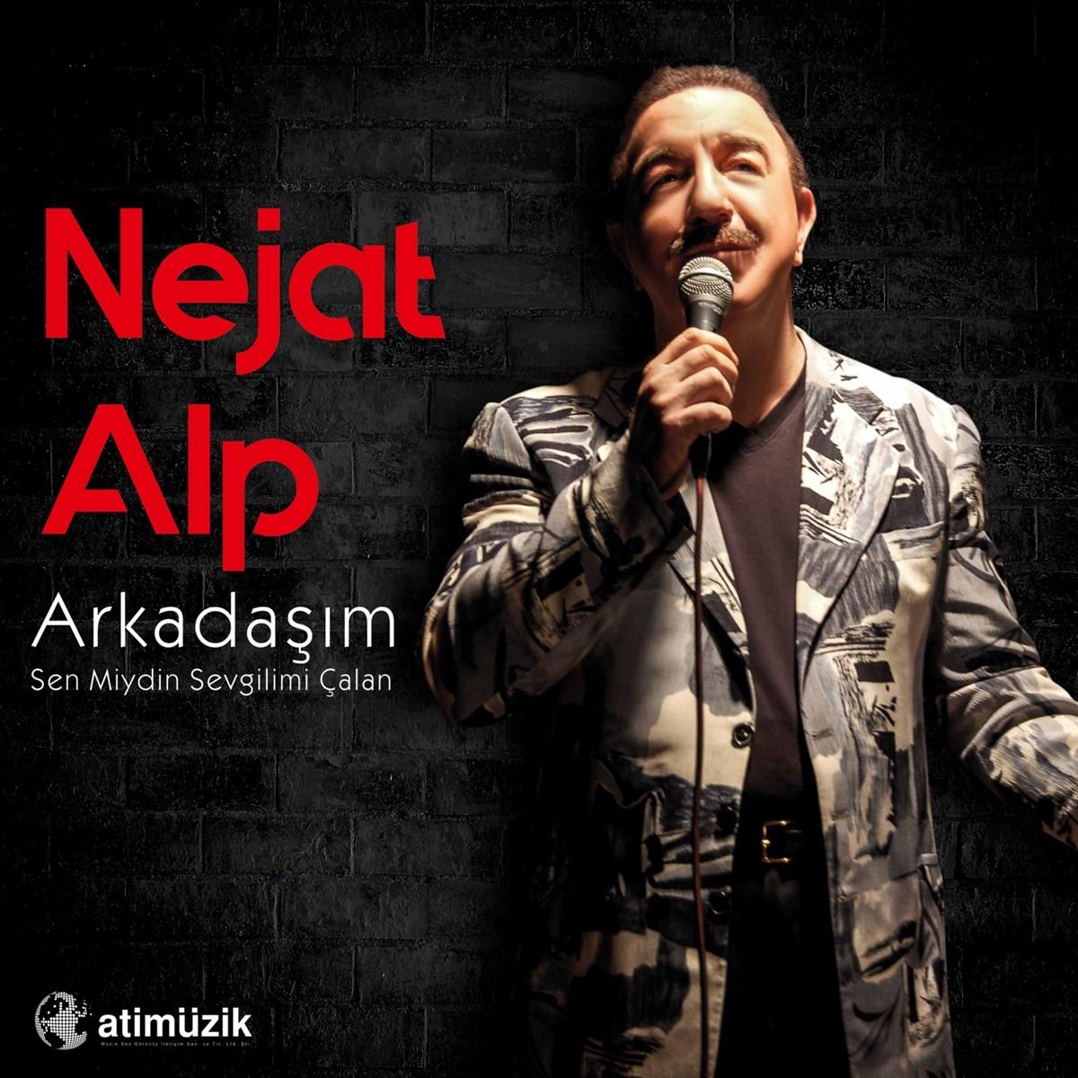 Nejat Alp Plak | Arkadaşım |Sen Miydin Sevgilimi Çalan(Plak)Schallplatte | LP