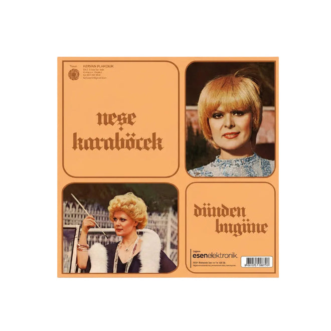Neşe Karaböcek - Dünden Bugüne Plak (Nese Kara Böcek Plak)Türk Sanat | müziği | Plak| Schallplatte | LP