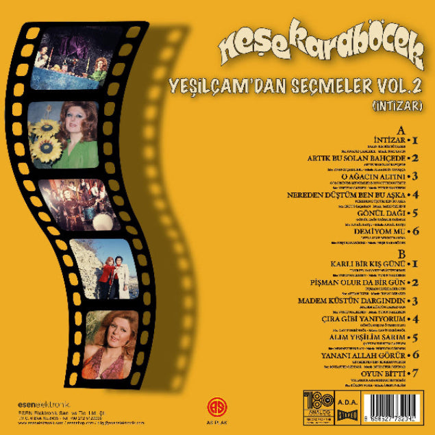 Neşe Karaböcek plak - Yeşilçam'dan Seçmeler Plak | Karlı bir Kis Günü | İntizar | Plak | Schallplatte | LP