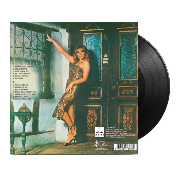 Nil Burak - Benim Adım Şarkıcı (Plak) Türk Pop Müziği | Türkischer Pop | Türkische Pop | LP | Schallplatte
