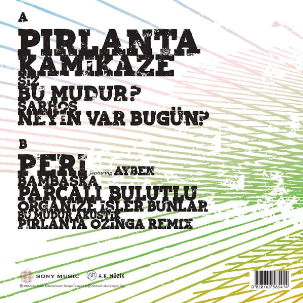 Nil Karaibrahimgil | Tek Taşımı Kendim Aldım | Plak |Türkçe | Pop | Plak|kayıt|LP