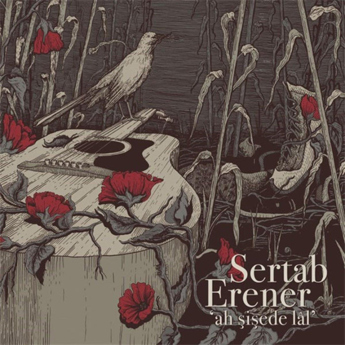 Sertab Erener Plak | LP | Schallplatte | Sertab Erener Plak Çeşitleri | Almanya | Fransa | Belçika | Hollanda Sipariş