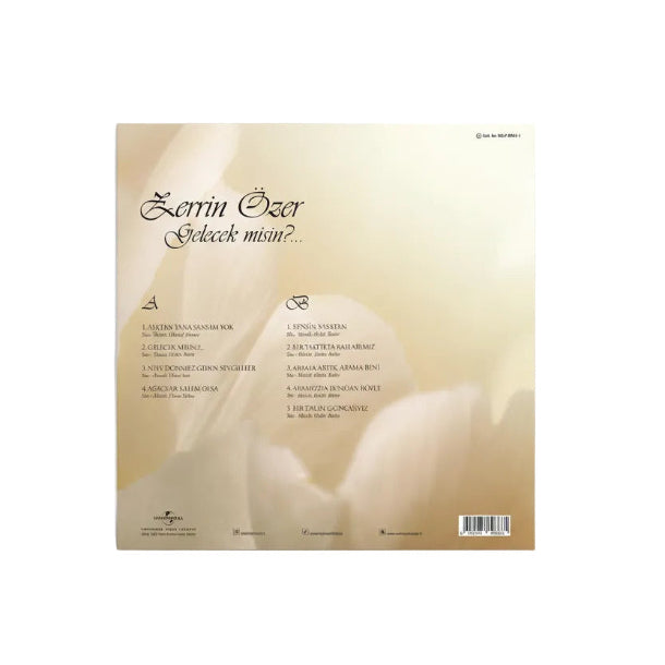 Zerrin Özer Gelecek Misin Plak ( Zerrin Özer Plak )Türkçe Pop Plak | Türkischer Pop Schallplatte | LP