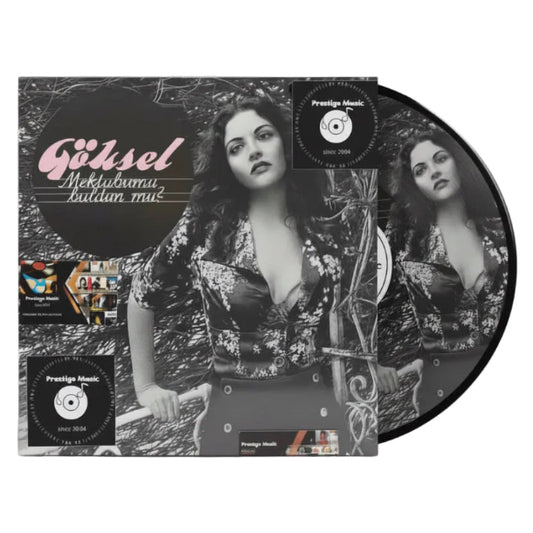 Göksel - Mektubumu Buldun mu Plak (Göksel Plak) Türkçe | Pop |Göksel  Plak |Göksel Schallplatte | LP