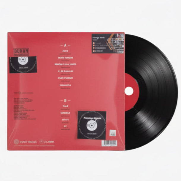 Duman 2 Plak (Duman Plak) Türkischer Rock | Duman II Plak |Duman 2 Schallplatte |LP