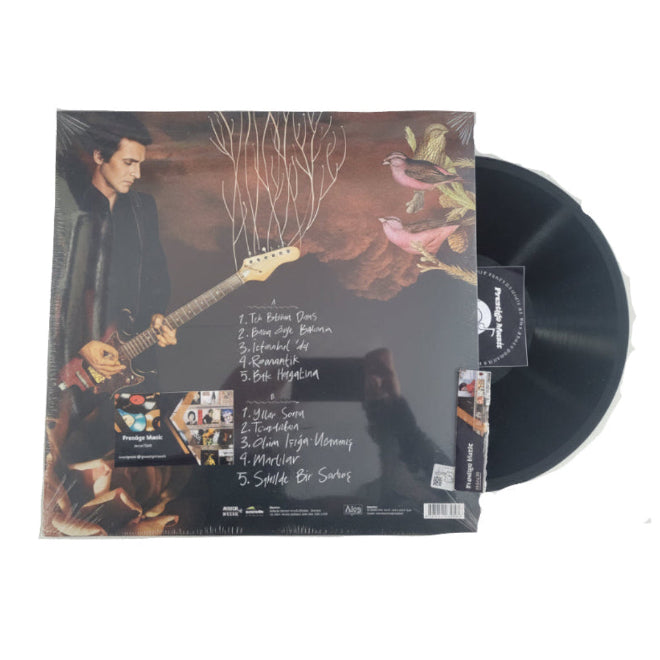 Teoman- Aşk ve Gurur | Plak | Türk Rock | Türkçe | Rock | plak | Schallplatten
