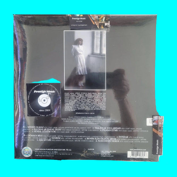 Nilüfer - Sensiz Olmaz Plak (Renkli Plak) Nilüfer - Sensiz Olmaz (Nilüfer Plak) Türkische Schallplatte | LP