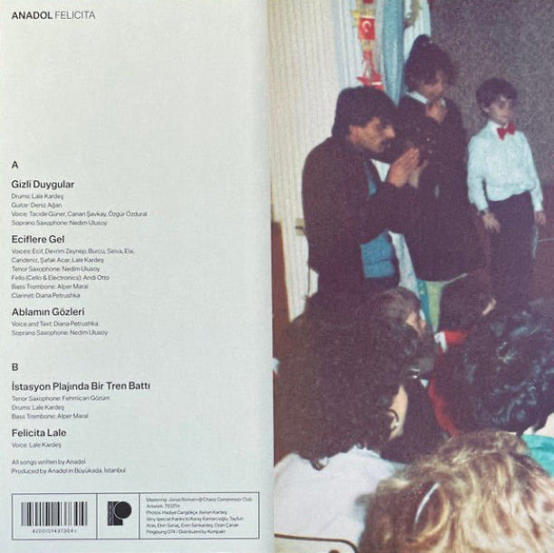 Anadol - Felicita Plak | Türkçe Pop - Rock Plak | Electronic - Dance | Dans ve Elektronik Plak