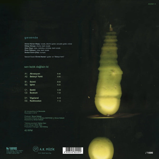 Gevende Plak | Sen Balık Değilsin ki Plak | psikedelik folk | caz rock | Gevende | Özgün | Rock | Plak | Schallplatte | LP