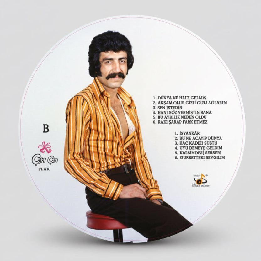 Müslüm Gürses Dünya Ne Hale Gelmiş Plak (Picture Disk) Fotoğraf Baskı Plak