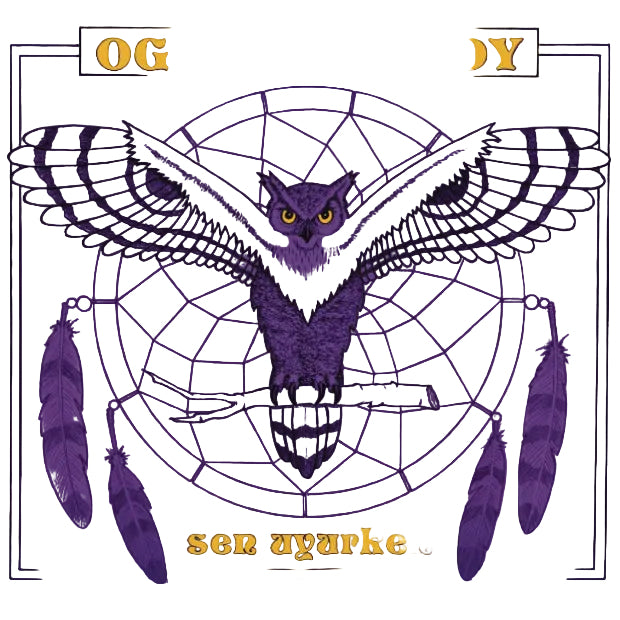 Ogün Sanlısoy Plak| Sen Uyurken ( Plak)Türkçe |Rock | Türkischer Rock |Schallplatte | LP