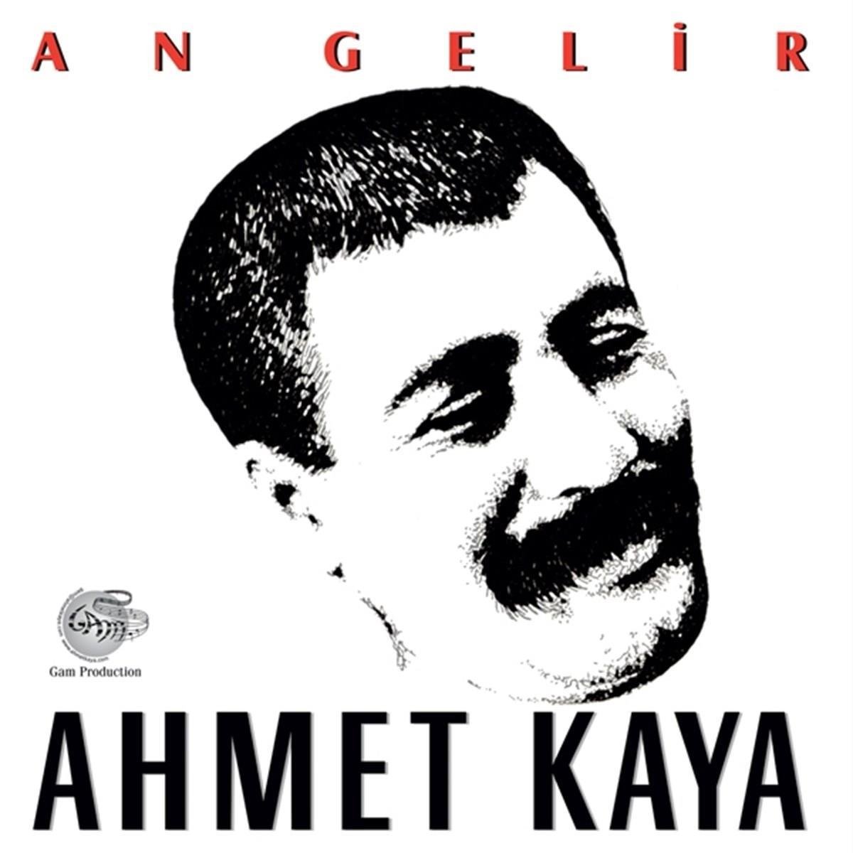 AHMET KAYA - An Gelir - Record - Vinyl - Plak