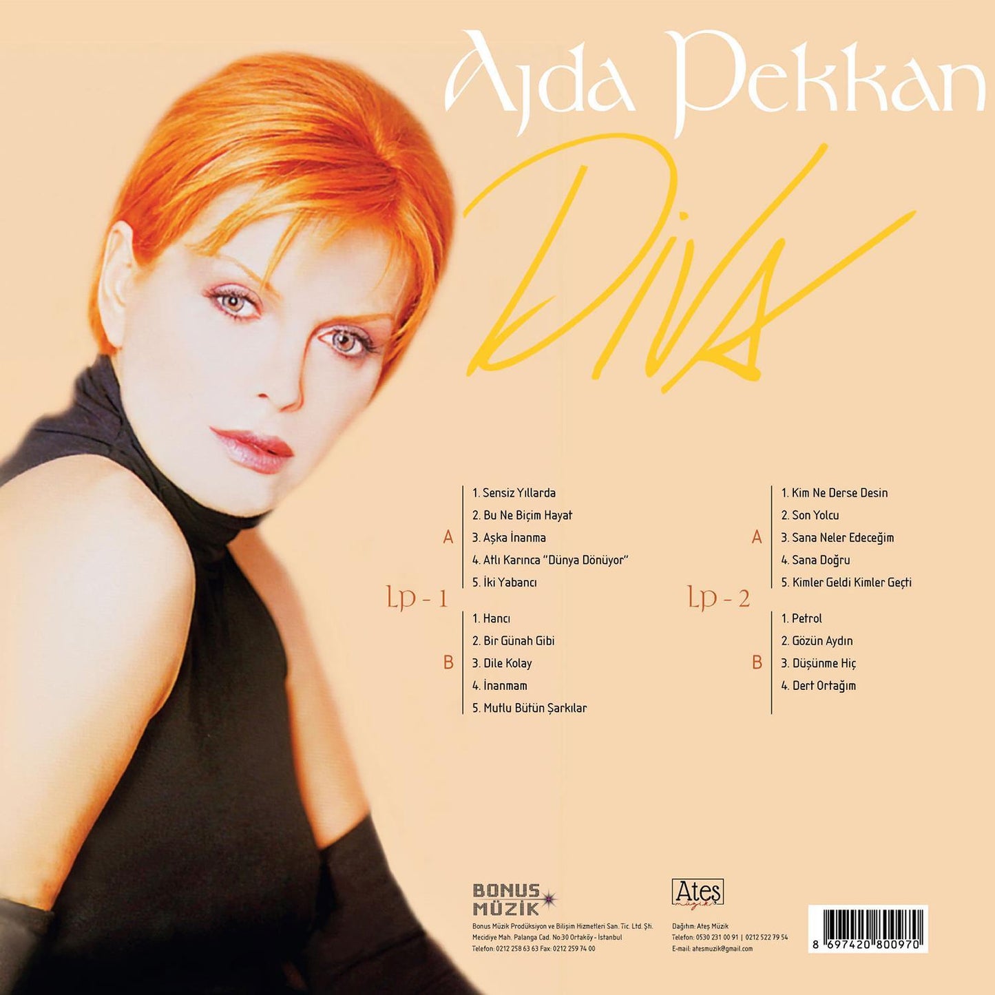 Ajda Pekkan Plak- Diva (2 Plak)Schallplatte