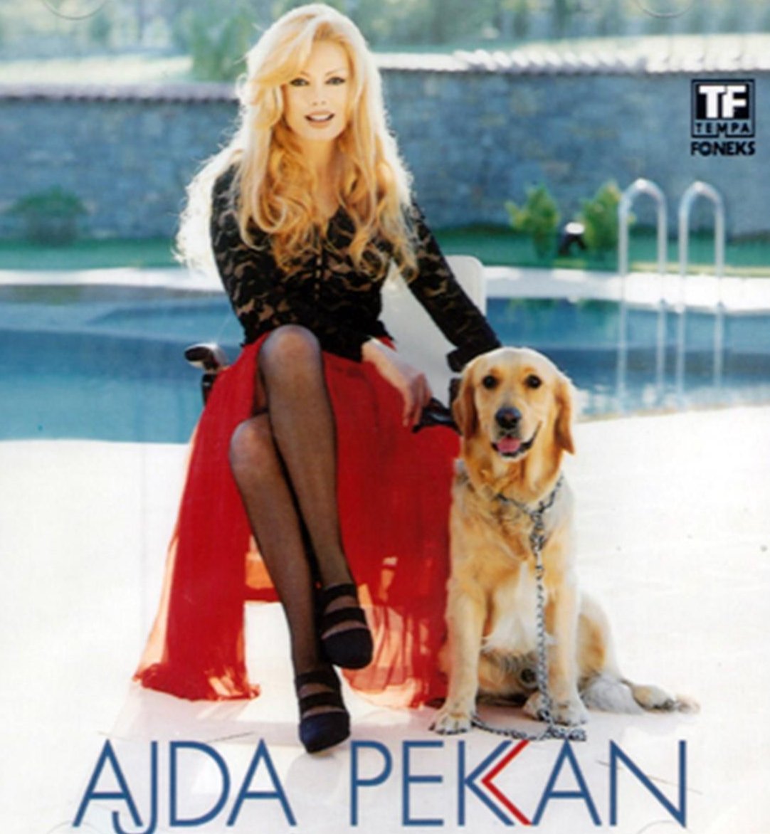 Ajda Pekkan CD| Ajda Pekkan | Eğlen Güzelim | Türkçe | POP ( Türkçe CD )