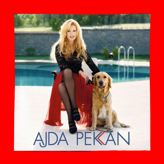 Ajda Pekkan - Eğlen Güzelim (Plak)Ajda Pekkan Eğlen Güzelim Plak | Türkische Pop | Türkische Schallplatten | LP
