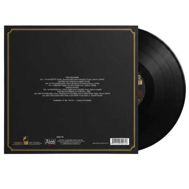 Bülent Ersoy Plak - Düşkünüm Sana Plak | Schallplatte | LP | Türk Sanat Müziği | Plak