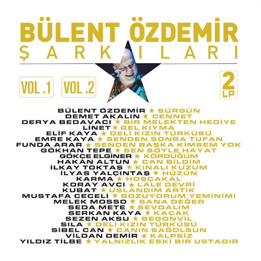 Bülent Özdemir Şarkıları - Çeşitli Sanatçılar | Plak (2 Plak) Türkçe | karışık | pop | Plak