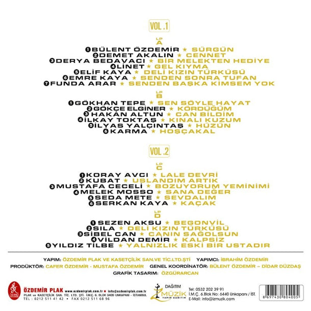 Bülent Özdemir Şarkıları - Çeşitli Sanatçılar | Plak (2 Plak) Türkçe | karışık | pop | Plak