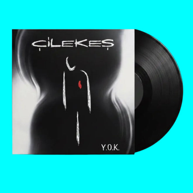 Çilekeş - Y.O.K (Plak)Çilekeş YOK | Plak | Türkischer rock | Plak | Schallplatte | LP