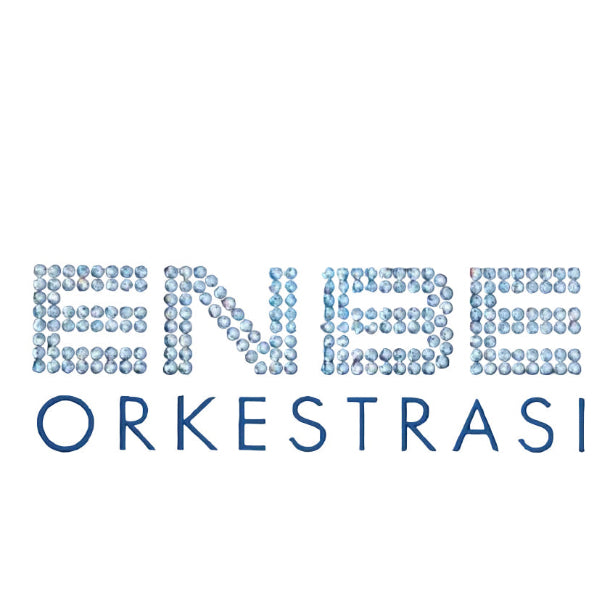 Enbe Orkestrası | Plak ( 2 Plak ) karışık | Türkçe Pop |Plak| kayıt | LP