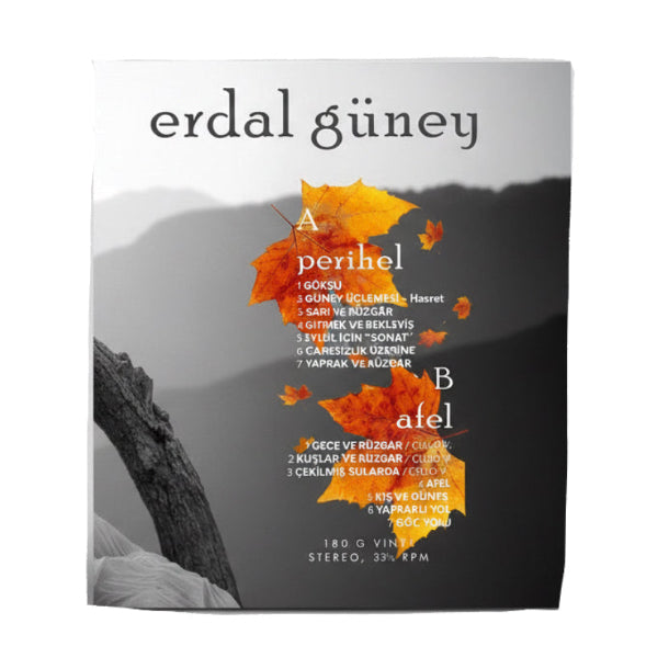 Erdal Güney - Perihel Afel Plak (Enstrümantal) (Erdal Güney Plak) Film Dizi Müzikleri Plak
