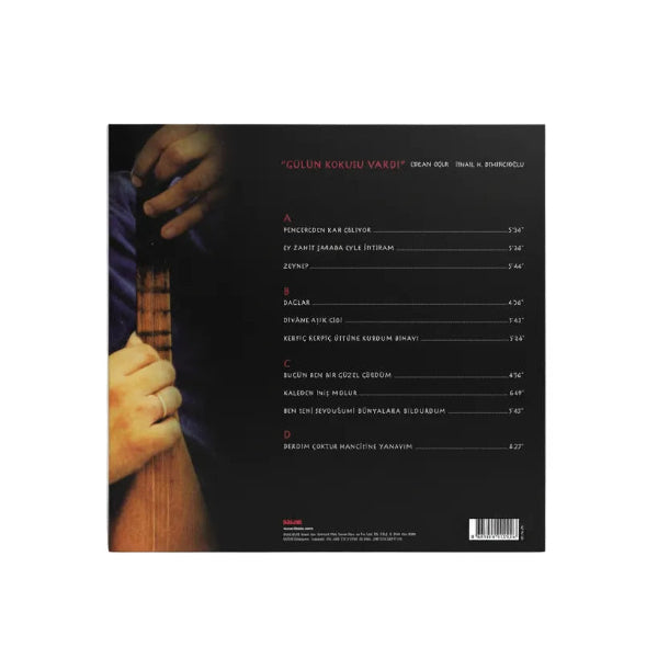 ERKAN OGUR &amp; ISMAIL H. DEMIRCIOGLU - Gülün Kokusu Vardi - LP2- Record - Vinyl - Plak