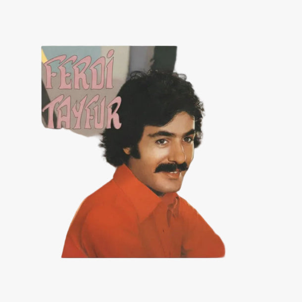 Ferdi Tayfur - Postacılar | Postacılar ( Plak ) Schallplatte | LP