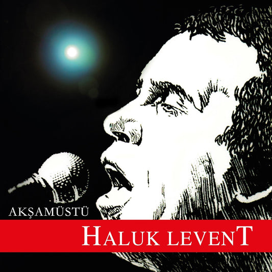 Haluk Levent -Akşam üstü Plak-Akşamüstü (Türkischer Rock | Türkce Rock Plak| Schallplatte)