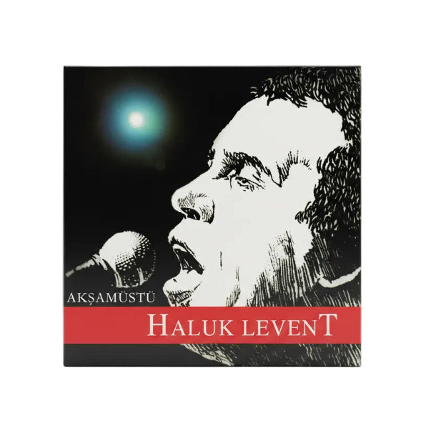 Haluk Levent Akşamüstü Plak | Türkischer Rock | Türkçe Rock Plak| Schallplatte)Haluk Levent Akşamüstü Plak