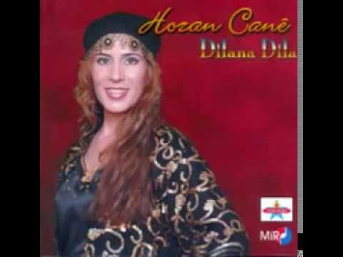 Aydın Müzik Hozan Cane - Dılana Dıla (CD)