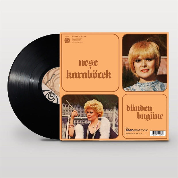 Neşe  Karaböcek - Dünden Bugüne Plak (Nese Kara Böcek Plak)Türk Sanat | müziği | Plak| Schallplatte | LP