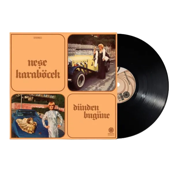 Neşe  Karaböcek - Dünden Bugüne Plak (Nese Kara Böcek Plak)Türk Sanat | müziği | Plak| Schallplatte | LP