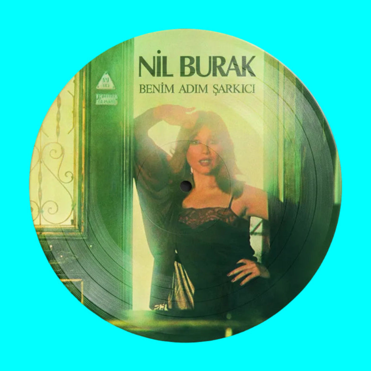 Nil Burak - Benim Adım Şarkıcı (Plak) Türk Pop Müziği | Türkischer Pop | Türkische Pop | LP | Schallplatte