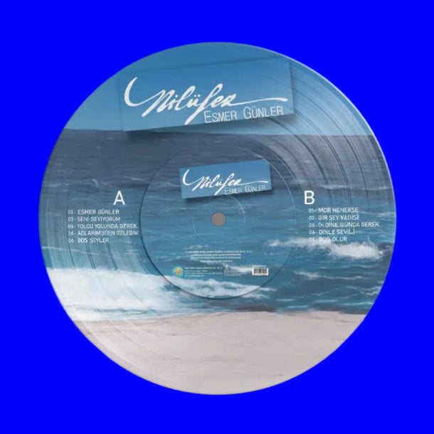 Nilüfer | Esmer Günler | Plak (Türkischer Pop | Schallplatte)LP