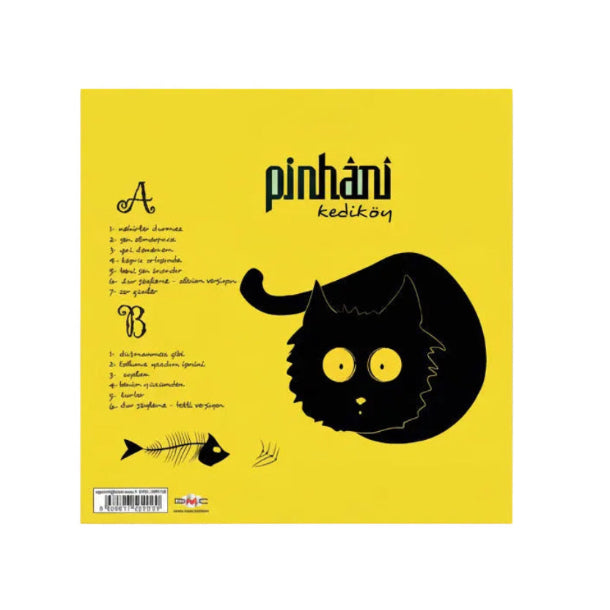 Pinhani  |Pinhani | Kediköy | Plak |Rock Plak-LP-Schallplatte|LP