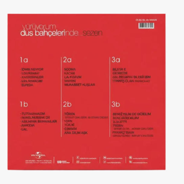 Sezen Aksu - Yürüyorum Düş Bahçelerinde Plak (3 Plak)Sezen Aksu LP | Türkçe pop plak
