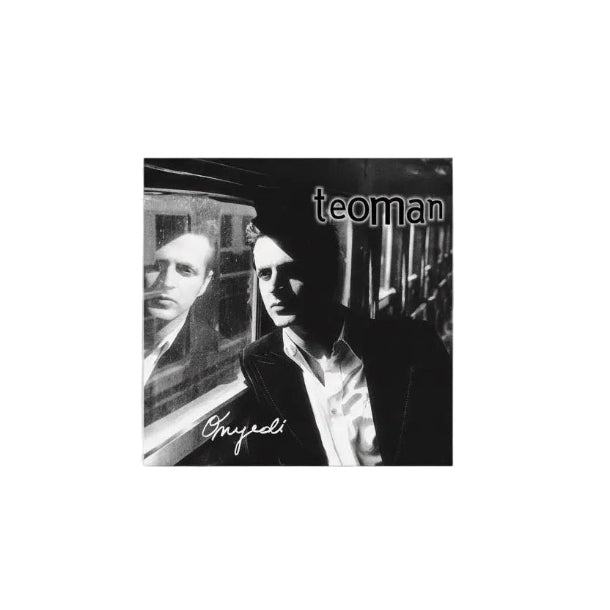 Teoman 17 Plak  (Teoman Plak | Rock Plak)Teoman On Yedi Schallplatte | LP